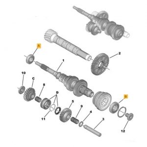 ML6 - Kit 2 roulements d'arbre primaire boite de vitesses 20MB..