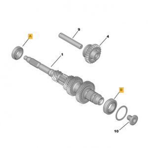 MLGU6 - Kit 6 roulements de boite de vitesses + joints 20GP..